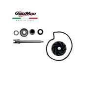 REVISIONE POMPA ACQUA SCOOTER PIAGGIO GILERA 400> 500 PRIME SERIE 403460095