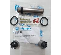REVISIONE SOSPENSIONE PERNO SNODO MOLLEGGIO FORCELLA APE CAR P2 P3 MP 601 18x84