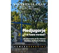 Revista Naves en Llamas Nº 35: Crónicas y análisis desde el fin de Occidente