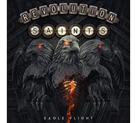 Eagle Flight