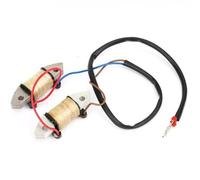 REwNXA Assemblaggio della Bobina di Carica per Motori fuoribordo a 2 Ictus compatibili con Modelli da 40 CHP E40X E40XWT 66T8552000