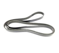REwNXA Cintura serpentina Compatibile per Sterndrive 4. 3L 5. 0l 5. 7l 6. Sostituzione dei Motori 2L 57-8638764 57-862086 57-8620861 57-862086A1 57-865615004