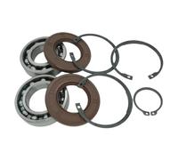 REwNXA Kit di Riparazione del volano Compatibile Penta -flyeling Cuscinetto Sostituzione della Guarnizione per 11013 181105 958860