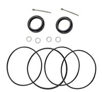 REwNXA Kit di Tenuta 'unità Inferiore Compatibile con i Modelli OMC Cobra dal 1991 al 1993 Include la Guarnizione del Perno del coccinolo per Olio per 341281 306394 311598 305123 313446