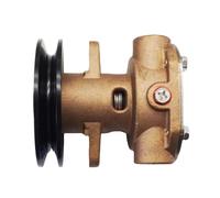 REwNXA Pompa 'Acqua Grezza del Motore Compatibile per GM46936 GM104855 344371 e G910P