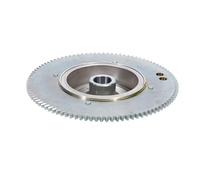 REwNXA Rotore Elettrico Assy Flywheel Compatibile con Sostituzione 2t 40HP 40G T36-04000500W per 6F5-85550 6F5-85550-F2 6F6-85550