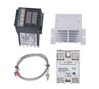 Rex C100 Controllore di Temperatura Professionale con Sonda in Acciaio Inox 40A