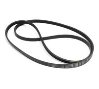 REX ELECTROLUX CINGHIA 1222J4 EL OPTIBELT ZANUSSI 1297195008