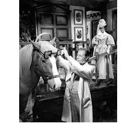 Rex Harrison & Samantha Eggar [1029320] 8x10 Foto (Altre Misure Disponibile)
