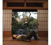 Rex Orange County The Alexander Technique (CD) Album