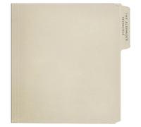 Rex Orange County The Alexander Technique (Vinyl LP) 12" Album (Gatefold Cover)