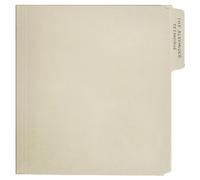 Rex Orange County The Alexander Technique (Vinyl LP)