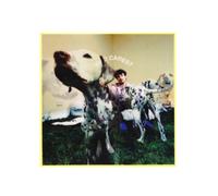 Rex Orange County WHO CARES? (Vinyl LP) 12" Album