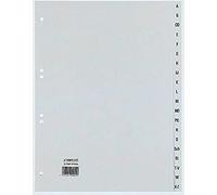 Rexel 25240481 Divisori Alfanumerici 20 Sezioni 4, Grigio