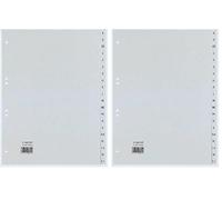 Rexel 25240481 Divisori Alfanumerici 20 Sezioni 4, Grigio (Confezione da 2)