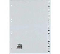 Rexel 25262481 Divisori Alfanumerici Formato A4+, Grigio, 20 Pezzi