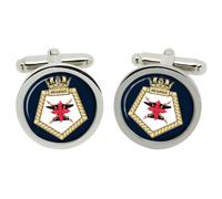 RFA Diligence, Gemelli Della Royal Navy In Scatola