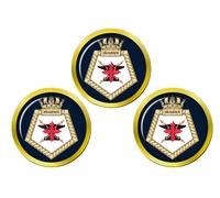 RFA Diligence, Marcatori Di Palla Da Golf Della Royal Navy