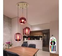 RGB LED Coprire Lampada a Sospensione Fumé Telecomando Corridoio Vetro Dimmbar [EEK: F]