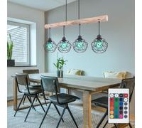 RGB LED Gabbia Appesa Lampada Dimmerabile Pendolo Legno Fascio Coprire Cambio [EEK: F]