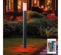 RGB LED Giardino Supporto Lampada Dimmerabile Esterno Acciaio Inox Telecomando