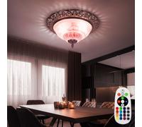 RGB LED Stile Country Coprire Lampada Dimmerabile Telecomando Vetro Fiori Luce [EEK: F]