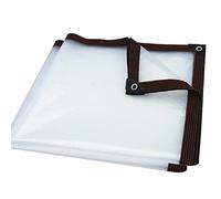RGRE Telone Occhiellato Trasparente 4x8m, Telone Impermeabile per Esterno in PVC, Telo di Copertura Impermeabile Trasparente, Teloni Protettivi per Campeggio, Pesca, Giardinaggio
