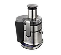 R.G.V. Centrifuga 800w 110930 - argento 110930