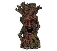 Rhawuy Aquarium Tree Root Decoration | Secure Fish Tank Ornament for Shrimp/Fry/Hermit Crabs | Authentic Aquascaping Tree Trunk Decor