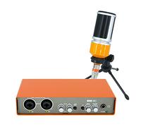 Rheross Microfono professionale Interfaccia Audio Registrazione Scheda Audio Mixer Chitarra Elettrica Console di Miscelazione Professionale