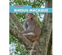 Rhesus Macaque: A perfect Coffee Table Picture Book - For Animal Lovers and Wildlife Enthusiasts .