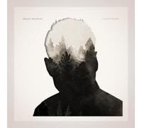 Rhian Sheehan A Quiet Divide (Vinyl LP) 12" Album