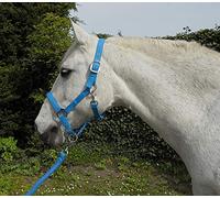 Rhinegold Cavezza e Corda di Carnevale Unisex, Turchese, Pony