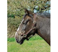 Rhinegold Cavezza in Nylon-Pieno-Marrone, 0, Full