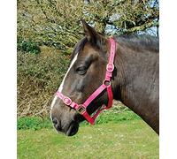 Rhinegold Cavezza in Nylon - Pony - Lampone