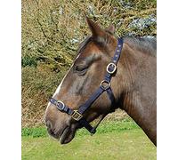 Rhinegold Cavezza in Nylon - Pony - Navy