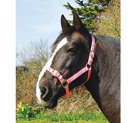 Rhinegold Cavezza Nylon-Pony-Rosa, 0