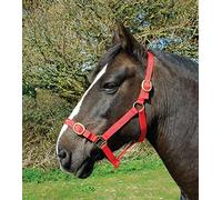 Rhinegold Cavezza Nylon-Shetland-Rosso, 0