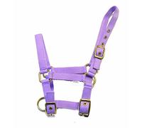 Rhinegold Collare in Nylon Puledro - Lilla