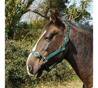 Rhinegold Collarino in Nylon-Completo-Verde, Collare 0 IT, Full
