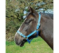 Rhinegold Collarino Nylon - Pony - Turchese