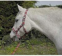 Rhinegold - Colletto e Corda per Carnevale, Unisex, a Quadri, Colore: Rosso