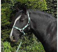 Rhinegold - Colletto e Corda per Carnevale, Unisex, a Quadri, Colore: Verde