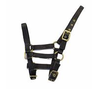Rhinegold - Colletto in Nylon, Colore: Nero