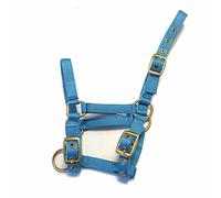 Rhinegold - Colletto in Nylon, Colore: Turchese