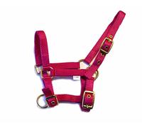 Rhinegold - Colletto in Nylon per Puledro Color Lampone