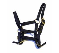 Rhinegold - Colletto in Nylon per Puledro - Navy