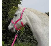 Rhinegold Copricapo e Corda di Carnevale Unisex, Rosa Brillante, Pony