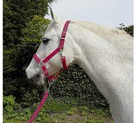 Rhinegold Copricapo e Corda per Carnevale Unisex, Lampone, Extra Completo