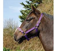 Rhinegold - Copricapo in Nylon, Cavezza in Nylon., Viola, Pony
